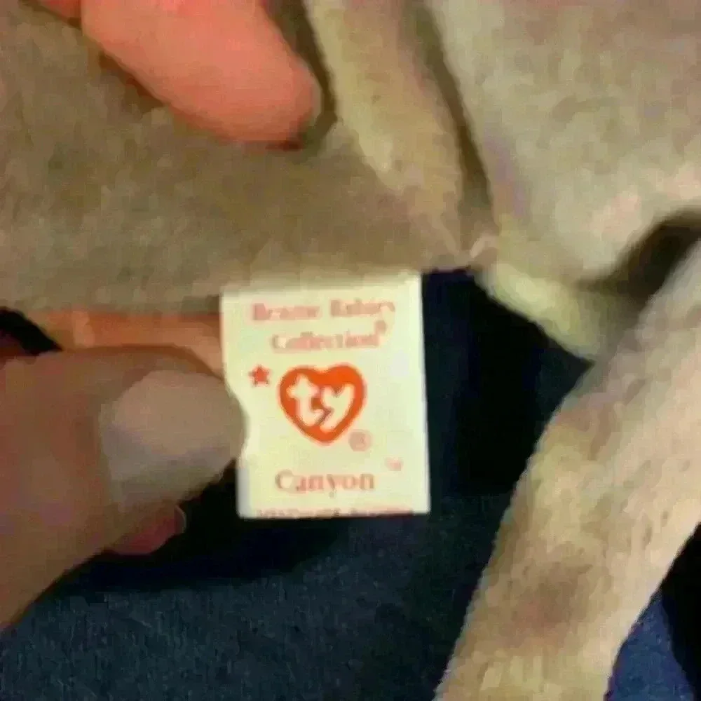 Ty Beanie Baby Canyon